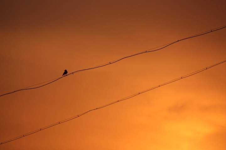 the sun sets over the city