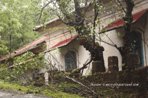 feels like a ruskin bond book!