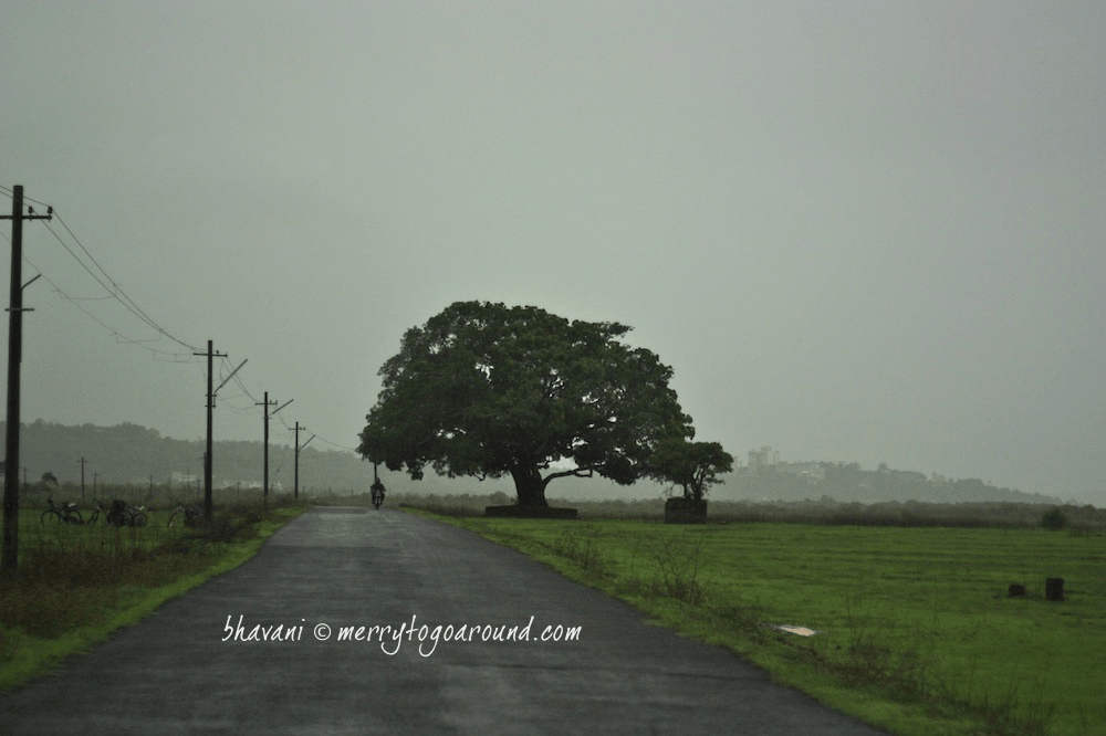 the landscape while entering divar