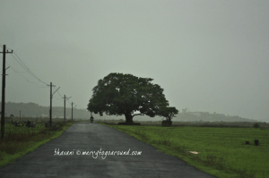the landscape while entering divar
