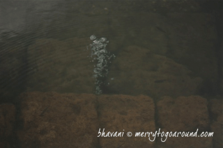 the bubbles under the surface