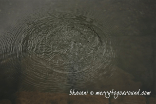 bubbles at the surface